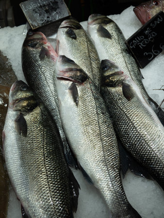 Fresh fish on ice in Palma central market Plaza Oliverの写真素材