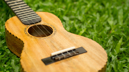 Mango wood Ukulele on grassの写真素材