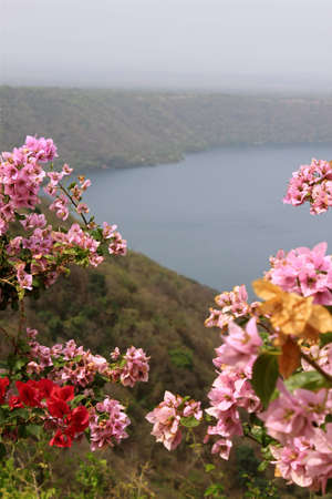 flowers in the foreground of La Laguna de Apoyo in Masaya, Nicaraguaの写真素材