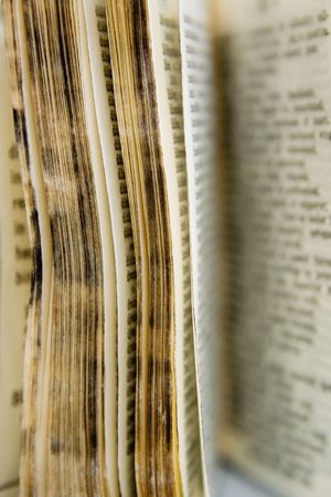 Old Dictionary, pages with words, short DOF shot in RAW with 4x Closeup Filter, this thing is only like 2" tall, used to be my mum's and it later had a distressing time while I burned it with a magnifying glass as a kid :Dの写真素材