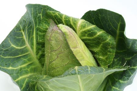 Fresh green cabbage shot on a white plateの写真素材