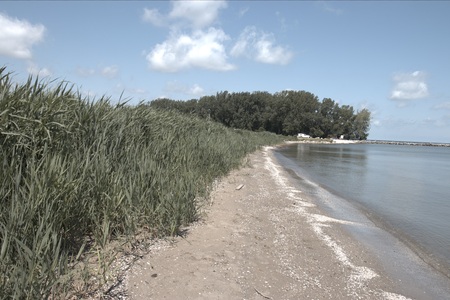 Relaxing Lakeside Beach Viewの写真素材