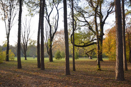 In the Danube River, between Buda and Pest, verdant Margaret Island is a tranquil getaway within the city.のeditorial素材