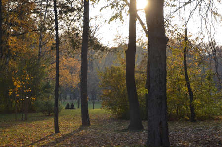 In the Danube River, between Buda and Pest, verdant Margaret Island is a tranquil getaway within the city. Family having their sunday time there.のeditorial素材
