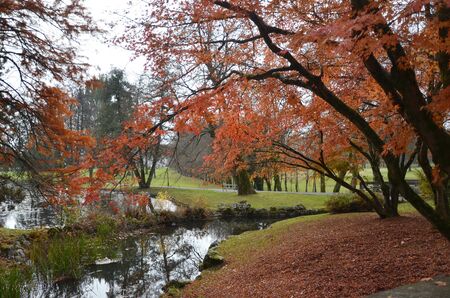 Koseze Pond, Martinek Pond or Lake Koseze is an artificial pond at the edge of Ljubljana, the...