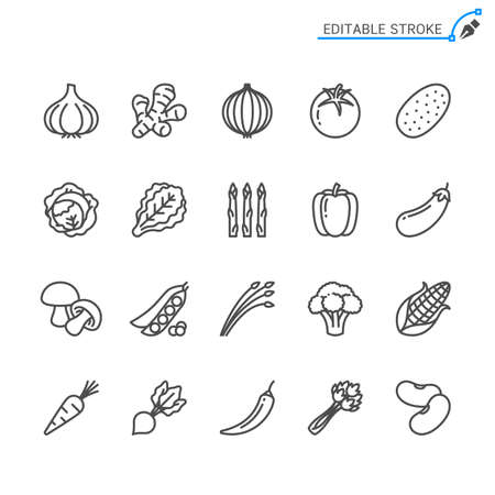 Vegetable line icons. Editable stroke. Pixel perfect.のイラスト素材