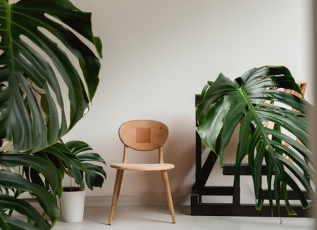 modern room with chair and copy space, built in minimal tropical room, plants, Monsteraの素材