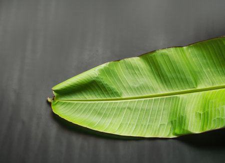 Traditional blank banana leaf with spices on dark background with space for textの素材