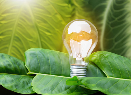 light bulb against nature on green leaf, Sustainable developmen and responsible environmentの素材