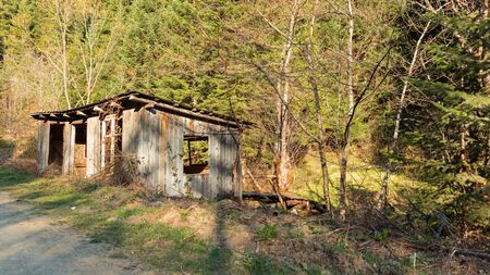 Abandoned Hut in the Forest Kastamonu-Turkeyの写真素材