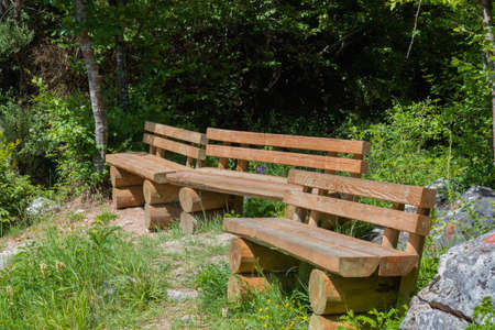 Wooden rest banks in the forestの写真素材