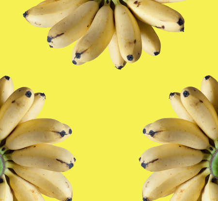 three group of mini bananas の写真素材