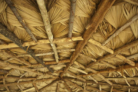 Thatched roof in countrysideの写真素材