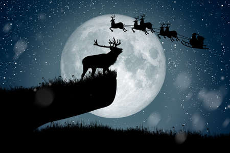 Silhouette of reindeer standing on the cliff to see Santa Claus flying on their reindeer over the full moon at night Christmas.の写真素材