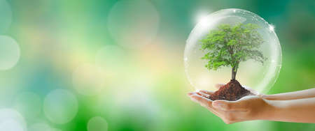 Glowing tree in hand with protection from crystal ball. Green background with bokeh. World mental...