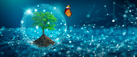 Tree with soil growing on  the converging point of computer circuit board. Blue light and low poly wireframe network background. Green Computing, Green Technology, Green IT, csr, and IT ethics Concept.の写真素材