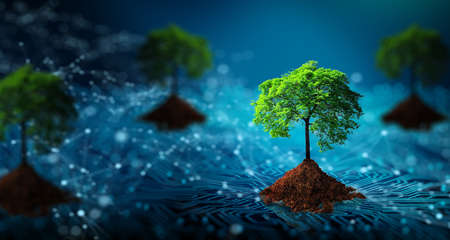 Tree with soil growing on  the converging point of computer circuit board. Blue light and wireframe...