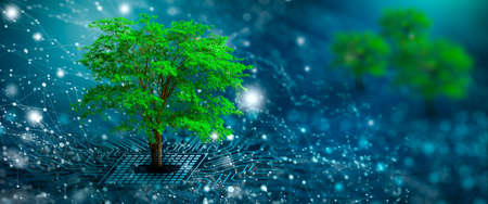 Tree with soil growing on  the converging point of computer circuit board. Blue light and wireframe network background. Green Computing, Green Technology, Green IT, csr, and IT ethics Concept.の写真素材