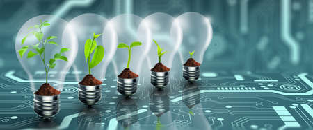Seedlings growing. Tree with soil growing sequence in Light bulbs. Nature ecology, Growth, Think green, Power saving, Innovation, Green ecology energy, and Saving environment Concept.の写真素材