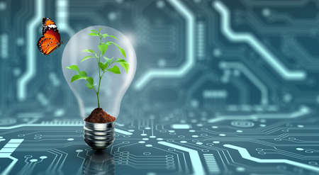 Plant growing inside the light bulb with butterfly. Nature ecology, Growth, Think green, Power saving, Innovation, Green ecology energy, and Saving environment Concept.の写真素材