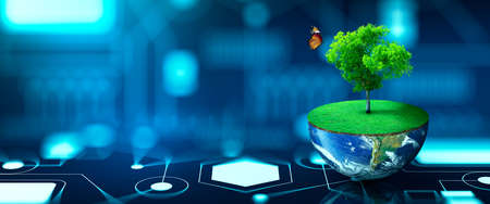 Tree growing on half of earth with green grass and butterfly. Digital and Technology Convergence.の写真素材