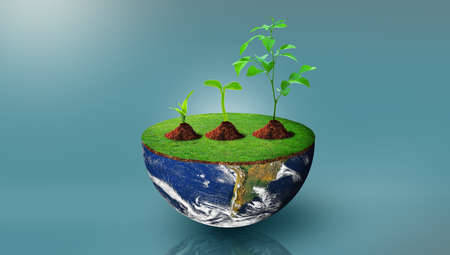 Plants of different sizes on half sphere of planet earth with green grass on.の写真素材