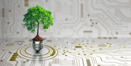 Tree with soil growing on  Light bulb. Digital Convergence and and Technology Convergence. Blue light and network background. Green Computing, Green Technology, Green IT, csr, and IT ethics Concept.の写真素材
