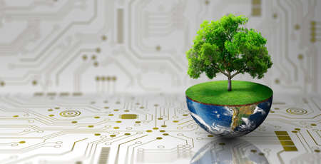 Tree growing on half of earth with green grass and butterfly. Digital and Technology Convergence. Green Computing, Green Technology, Green IT, csr, and IT ethics Concept.の写真素材