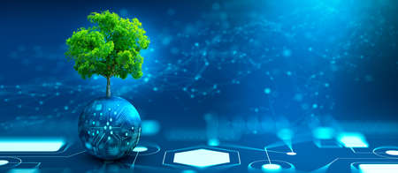 Tree growing on Circuit digital ball. Digital Convergence and Technology Convergence. Blue light and Wireframe network background. Green Computing, Green Technology, Green IT, csr, and IT ethics Concept.の写真素材