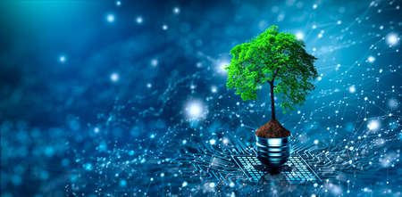 Tree with soil growing on  Light bulb. Digital Convergence and and Technology Convergence. Blue...