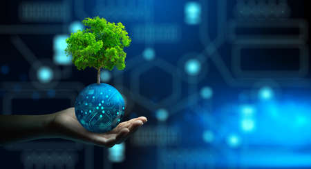 Man hand holding Tree on digital ball with technological convergence blue background. Green computing, csr, IT ethics, Nature technology interaction, and Environmental friendly.の写真素材