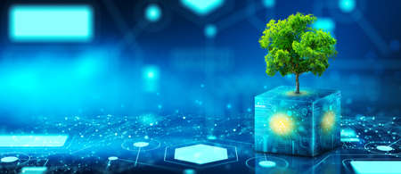 Tree growing on Circuit Digital Cube. Digital and Technology Convergence. Blue light and Wireframe network background. Green Computing, Green Technology, Green IT, csr, and IT ethics Concept.の写真素材