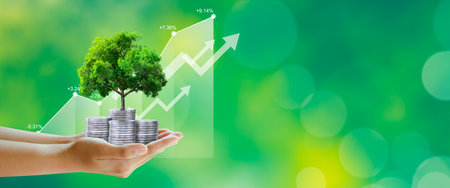 Hand holding Growing tree on coins with stock graph over Green background. Saving ecology, csr green business, business ethics, good governance, investment ideas, and business growth Concept.の写真素材