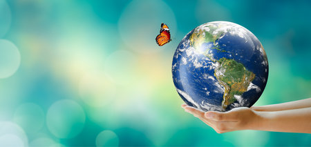 Hand holding tree on the world with sunny green grass bokeh background. Save clean planet, Save world and environment, Ecology, World Earth Day Concept.の写真素材