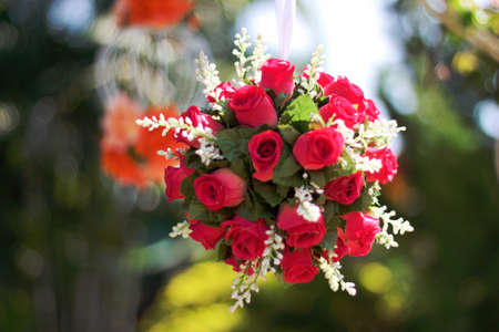 Artificial Rose various colors in natural clarityの写真素材