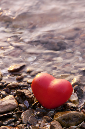 red shape heart  on rock and shell beach natureの写真素材