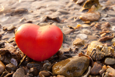 red shape heart  on rock and shell beach natureの写真素材