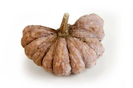 dissect the pumpkin in longtime on isolated whiteの写真素材
