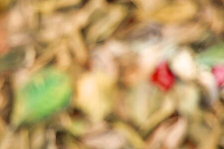 Bokeh light background blur brown colored