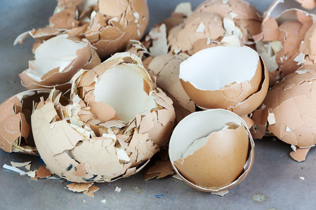 egg shell many lot a creaked fractureの写真素材