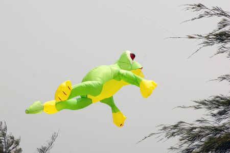 colorful kite in the blue sky at the summer holidays timeの写真素材