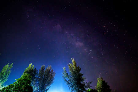 The Milky Way and some trees. In the Thailand.の写真素材