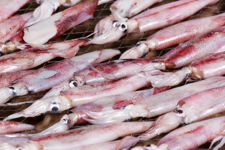 Dried squid with sun. Drying Squid in fishing village in Thailand.