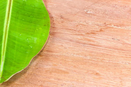Banana leaf green color fresh on wooden backgroundの写真素材