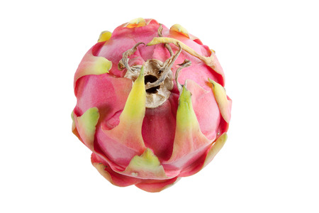 Dragon fruit isolated on white.の写真素材