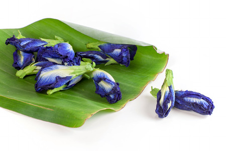 Butterfly pea tea Anchan Dried flowers to make tea on white backgroundの写真素材