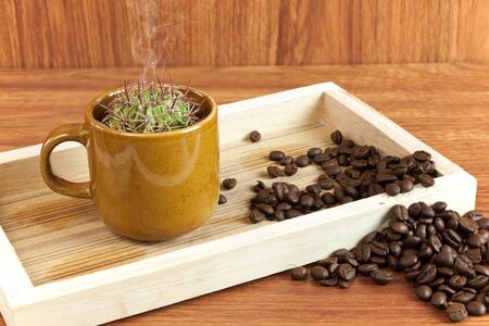 cactus in coffee cup. it is idea beverage bad taste similar options like cactus. Drink hot smoke.の写真素材