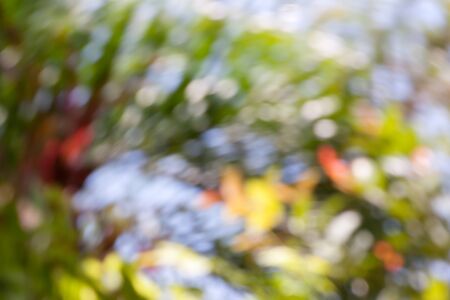 Abstract blurred background. Colorful speed and movement light vivid color. photograph from nature.の写真素材