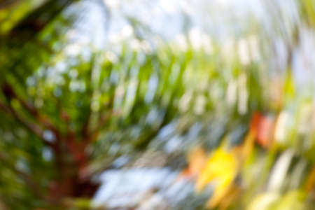 Abstract blurred background. Colorful speed and movement light vivid color. photograph from nature.の写真素材