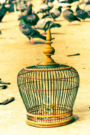 Villagers handmade birdcage. Bangkok, Thailand